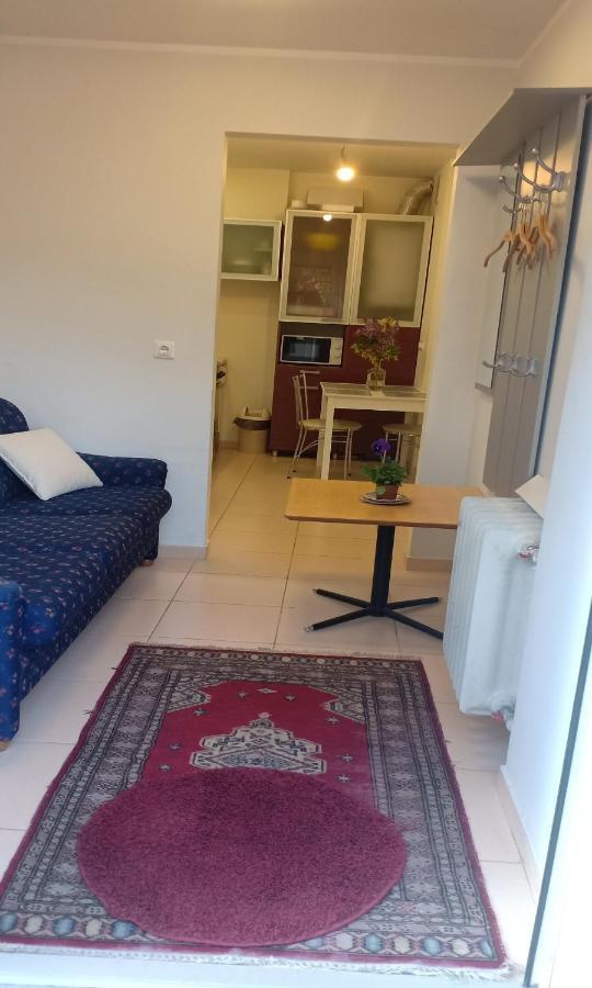 Kaunas Downtown Apartments Extérieur photo